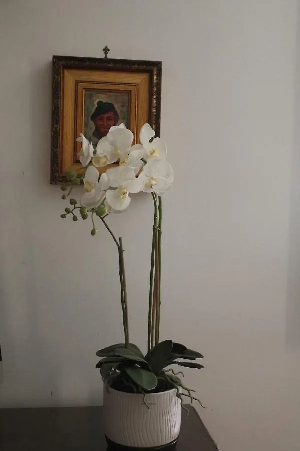 Apartment Casa Clo Alla Cattedrale Palermo